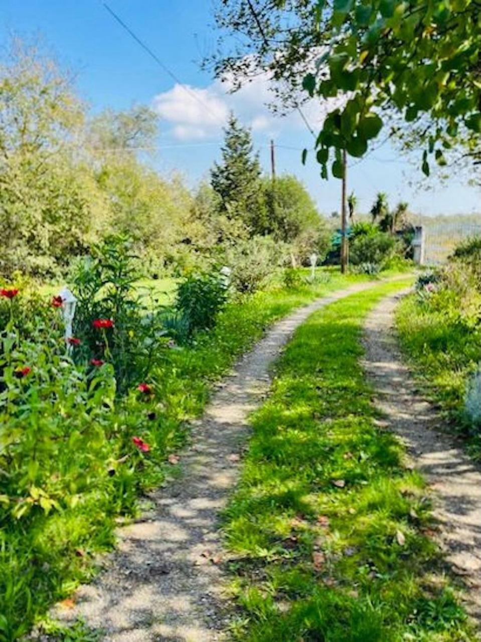Cozy Corfu Bungalow 5 Minutes To Aqualand Agios Ioannis  Exterior photo